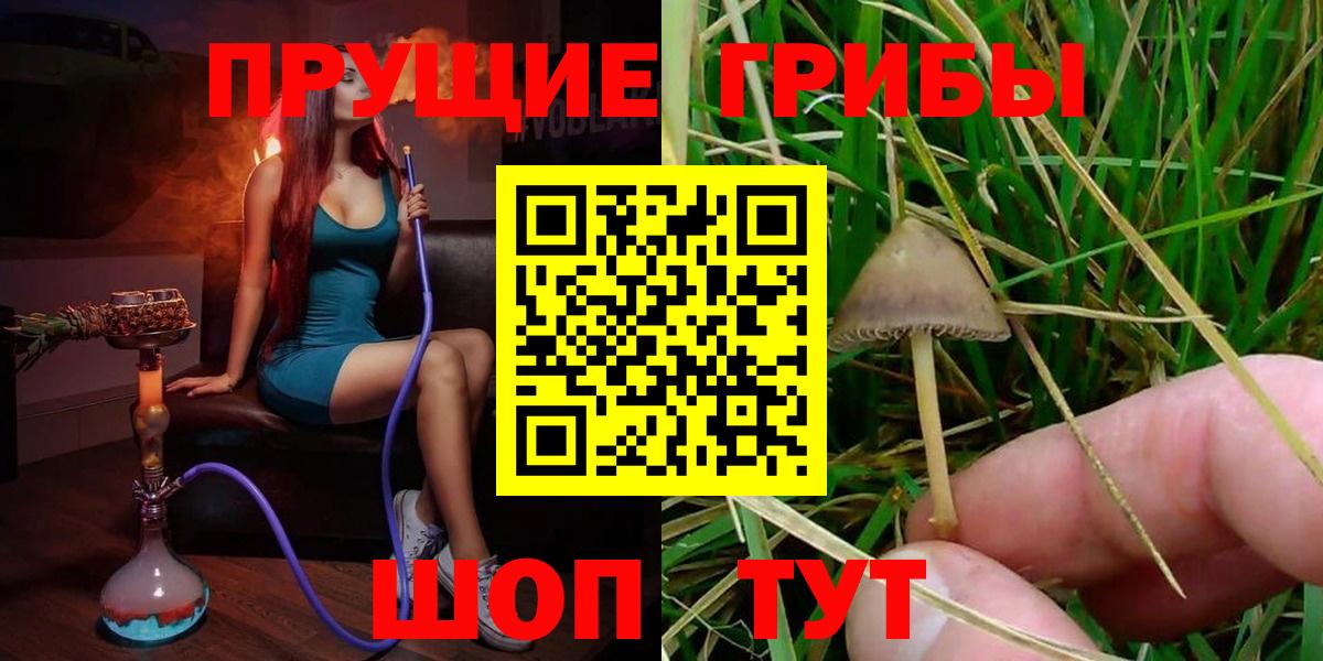 Галлюциногенные грибы Psilocybine cubensis  Вход с VPN  Рославль 